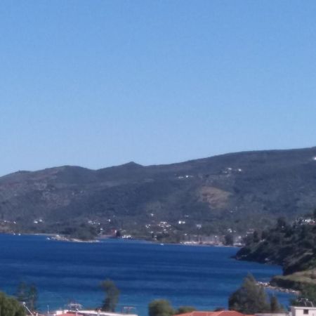 Forest & Sea Apartment Poros Town Exterior photo