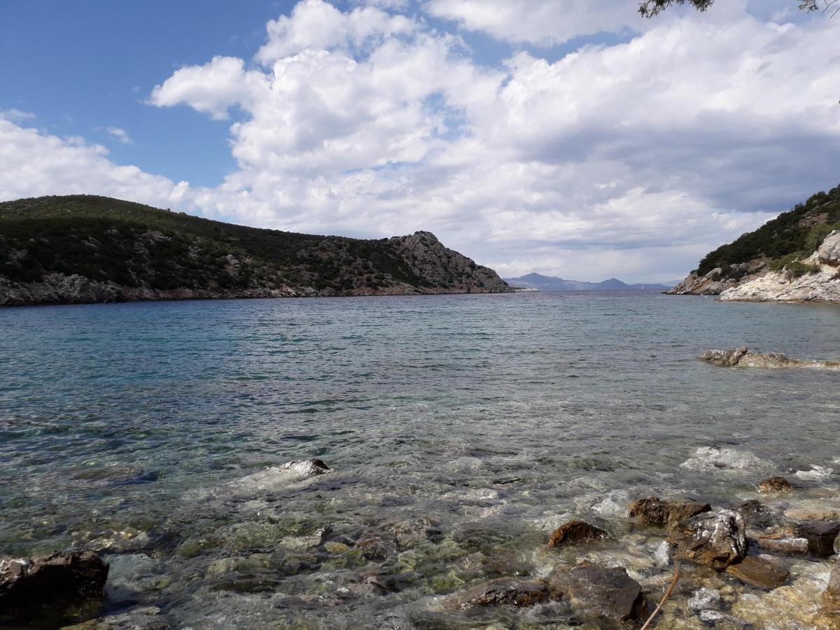 Forest & Sea Apartment Poros Town Exterior photo